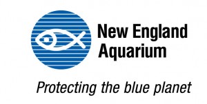 underwater_marine_imaging